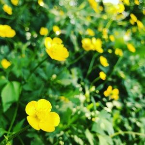 Meet your Posher, Veronica